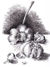 Bild 9 Susanne Thäsler-Wollenberg Knoblauch.jpg