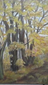 Herbstwald von Hannelore Büttner.jpg